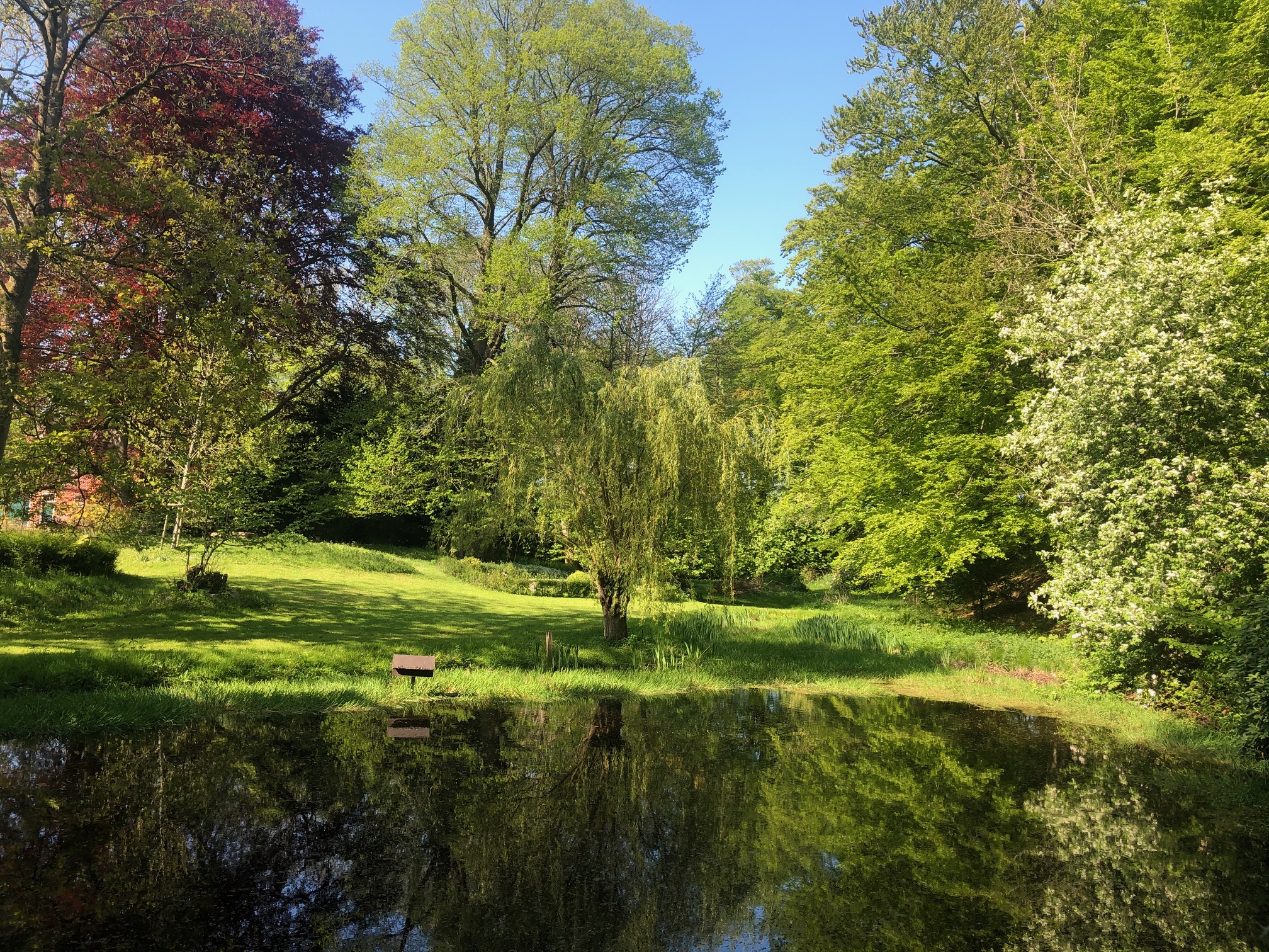 CASTLE & PARK BURG BERUM NATURE